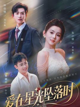 爱在星光坠落时封面图