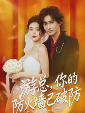 游总，你的防火墙已破防封面图