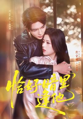 恰好暗里逢他封面图