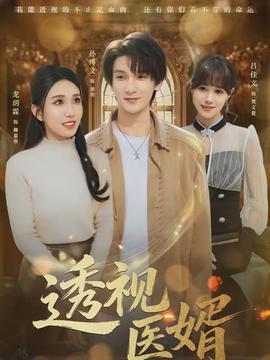 透视医婿封面图