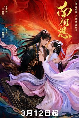 南相思封面图