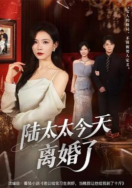 陆太太今天离婚了封面图