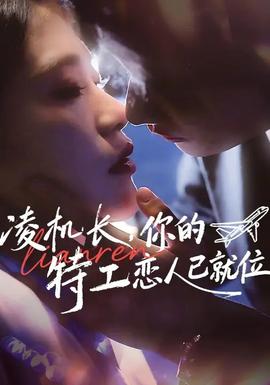 凌机长，你的特工恋人已就位封面图