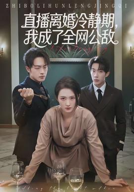直播离婚冷静期，我成了全网公敌封面图