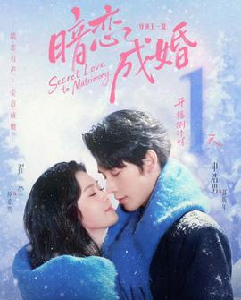 暗恋成婚封面图